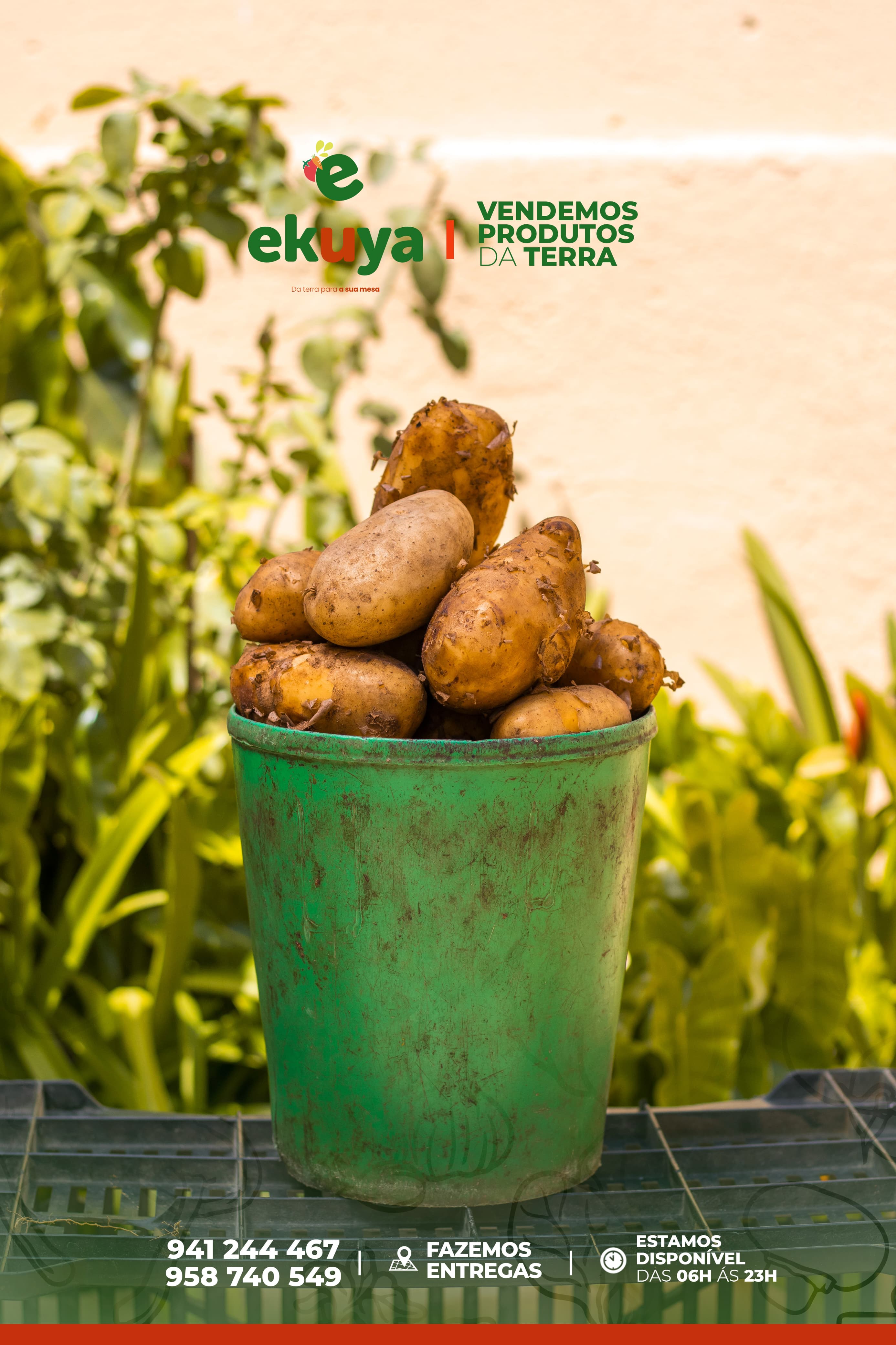 Balde de batata rena