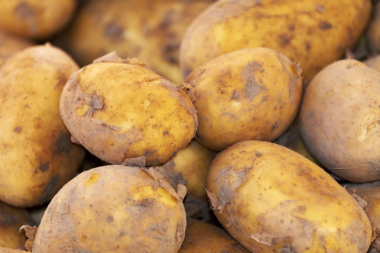Batata Rena 10-KG