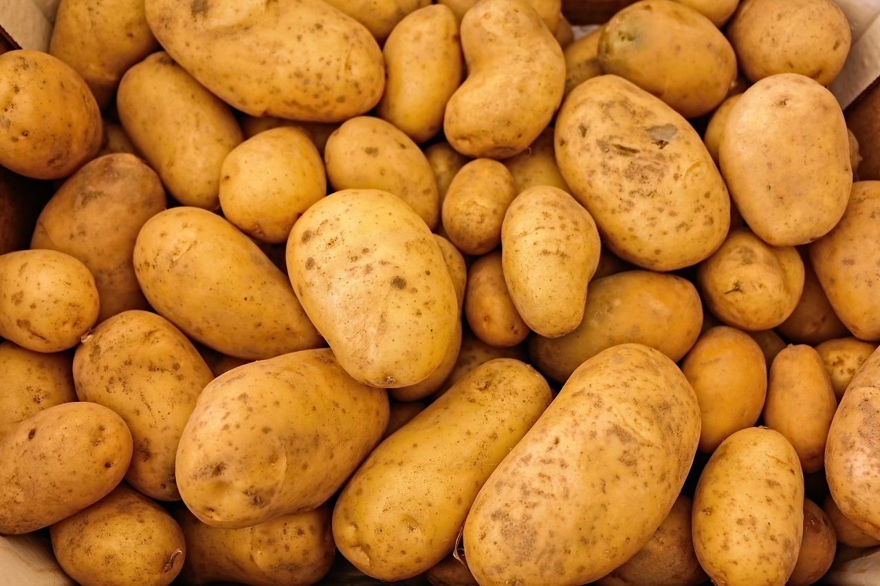 Balde de batata rena