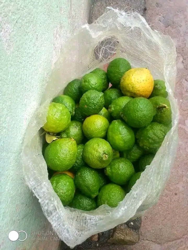 Balde de Limão