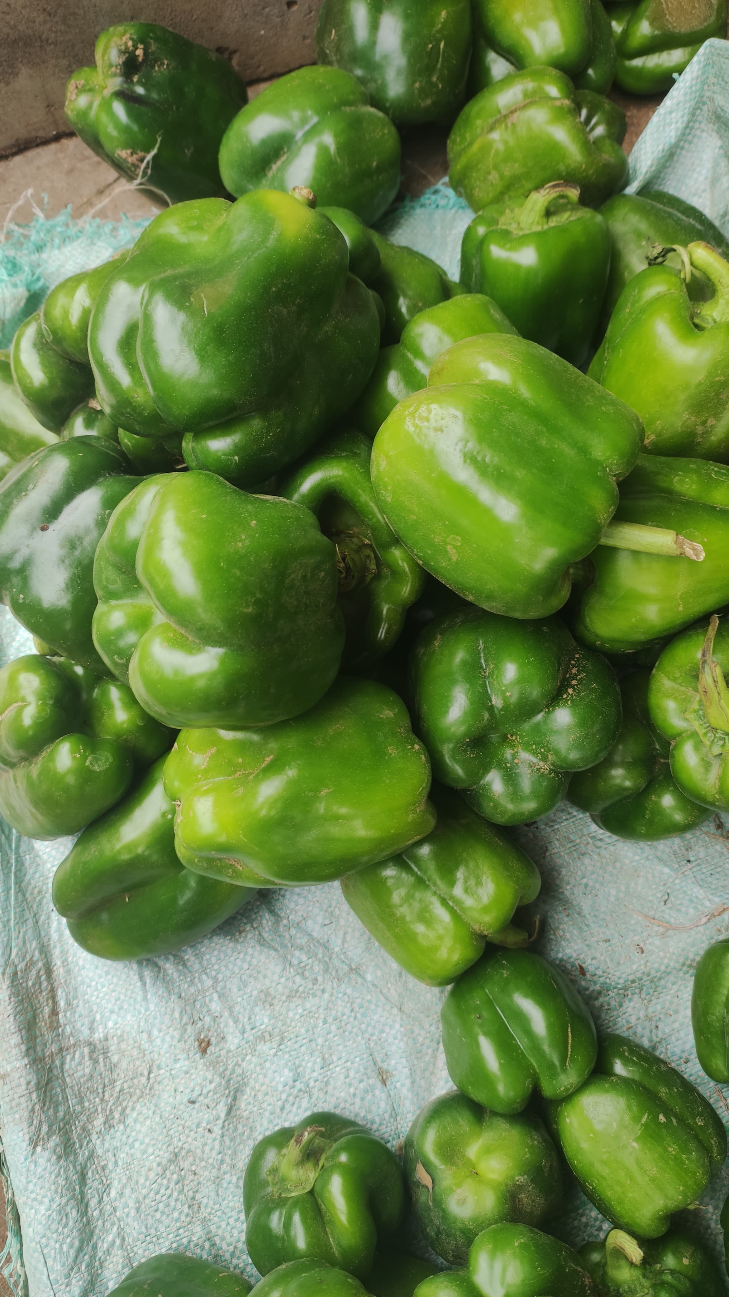 Pimenta verde
