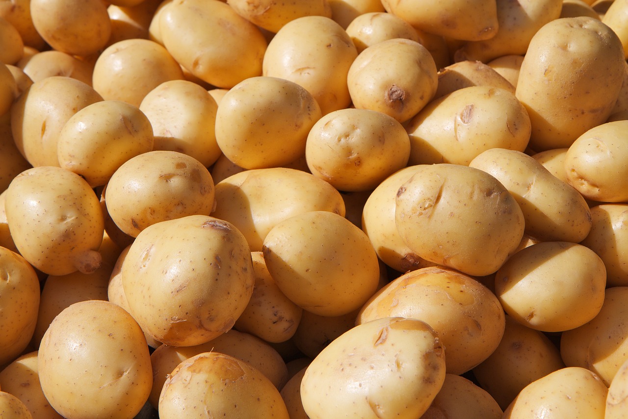 Batata Rena 10-KG