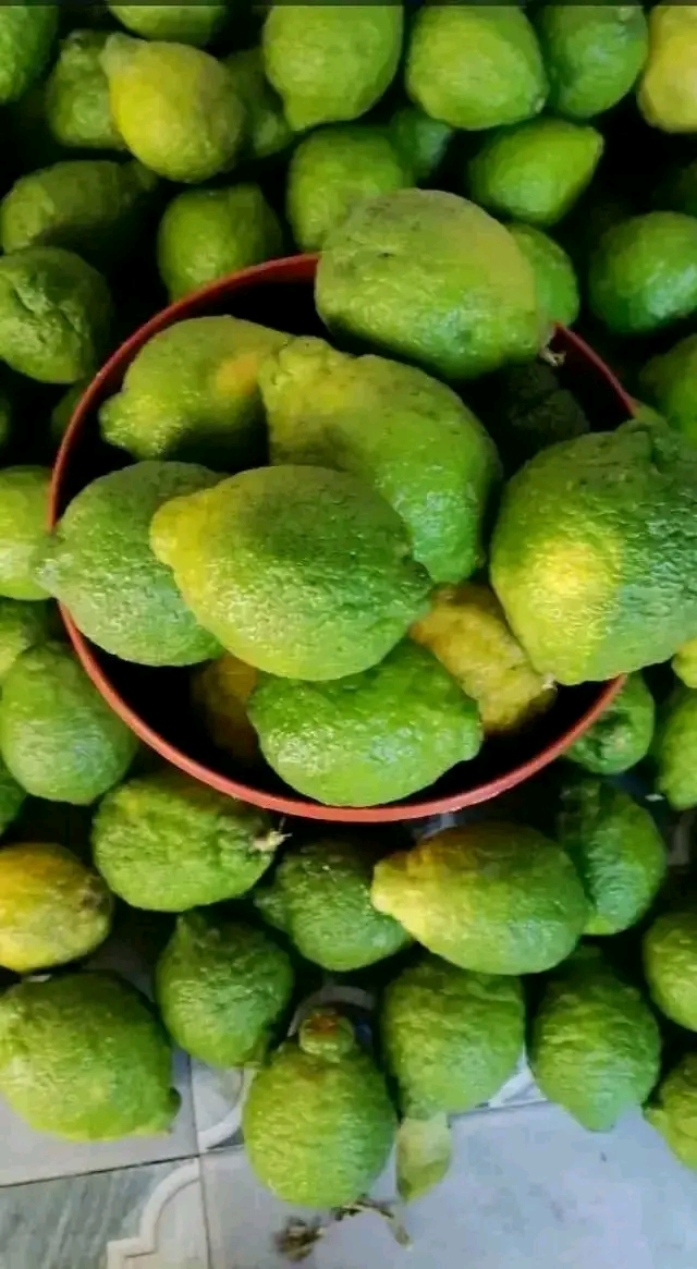 Balde de Limão